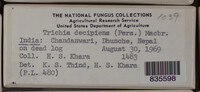Image Associated With the Occurence